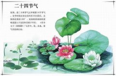 處暑之后注意祛暑，除燥潤津的藥膳推薦給家人～